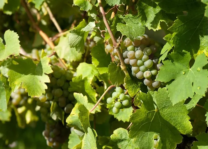 La Baronnerie Bed and breakfast Cézac